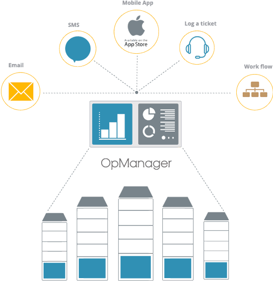 What makes the large enterprise network management, large?