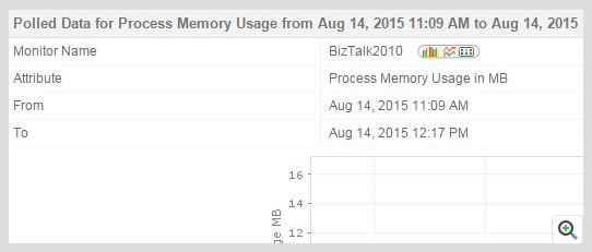 ManageEngine Applications Manager BizTalk 内存使用情况