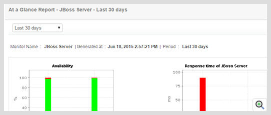 ManageEngine Applications Manager Wildfly 报告