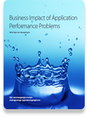 Business Impact of Application Performance Problems 