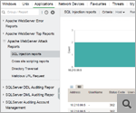 Apache web server attack reports