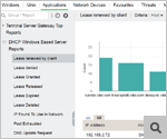 DHCP Windows based server reports