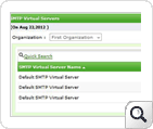 SMTP Virtual Servers Report