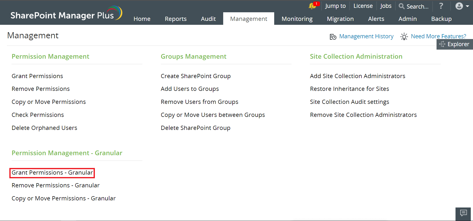 grant-permission-granular